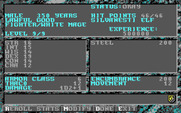 Dark Queen of Krynn, The for IBM PC/Compatibles - Character stats.