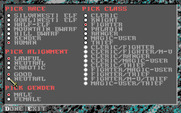 Dark Queen of Krynn, The for IBM PC/Compatibles - Creating a new character.