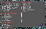 Dark Queen of Krynn, The for Amiga - Creating a new character.