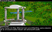 Transylvania III: Vanquish the Night for IBM PC/Compatibles - A lush woodland.