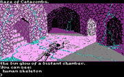 Transylvania III: Vanquish the Night for IBM PC/Compatibles - A skeleton? This place may not be safe!