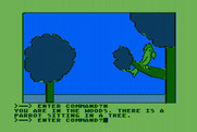 Hi-Res Adventure #2: The Wizard and the Princess for Atari 8-bit - There is a parrot here...