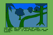 Hi-Res Adventure #2: The Wizard and the Princess for Atari 8-bit - Heading down a path...