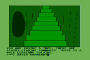 Hi-Res Adventure #2: The Wizard and the Princess for Atari 8-bit - Heading up some stairs...