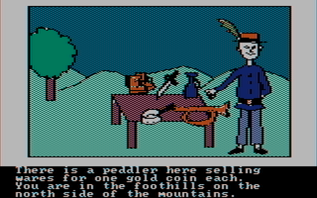 Hi-Res Adventure #2: The Wizard and the Princess IBM PC/Compatibles Screenshot: I don't have much money, so I hope I buy a useful item!