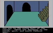 Hi-Res Adventure #2: The Wizard and the Princess for IBM PC/Compatibles - The entry hall of the castle.