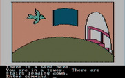 Hi-Res Adventure #2: The Wizard and the Princess for IBM PC/Compatibles - A bird sometimes flies through this room.