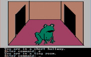 Hi-Res Adventure #2: The Wizard and the Princess for IBM PC/Compatibles - That is a large frog!