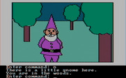 Hi-Res Adventure #2: The Wizard and the Princess for IBM PC/Compatibles - A little gnome is here.