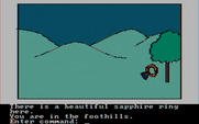 Hi-Res Adventure #2: The Wizard and the Princess for IBM PC/Compatibles - Another treasure! Be sure to pick up this sapphire ring...