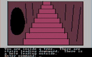 Hi-Res Adventure #2: The Wizard and the Princess for IBM PC/Compatibles - Stairs leading up...and hole.