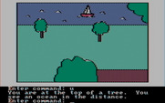 Hi-Res Adventure #2: The Wizard and the Princess for IBM PC/Compatibles - From up in this tree I can see the ocean in the distance!