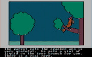 Hi-Res Adventure #2: The Wizard and the Princess for IBM PC/Compatibles - Feeding a parrot...