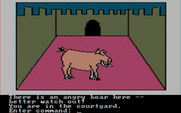 Hi-Res Adventure #2: The Wizard and the Princess for IBM PC/Compatibles - An angry boar! Seems like nothing is ever happy to see you...