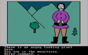 Hi-Res Adventure #2: The Wizard and the Princess for IBM PC/Compatibles - This giant is angry!