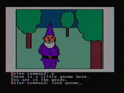 Hi-Res Adventure #2: The Wizard and the Princess for IBM PC/Compatibles - A gnome is here...
