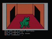 Hi-Res Adventure #2: The Wizard and the Princess for IBM PC/Compatibles - A frog in a castle?