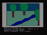 Hi-Res Adventure #2: The Wizard and the Princess for IBM PC/Compatibles - A good place to collect some water...