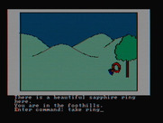 Hi-Res Adventure #2: The Wizard and the Princess for IBM PC/Compatibles - A ring is here...better take it.