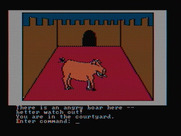 Hi-Res Adventure #2: The Wizard and the Princess for IBM PC/Compatibles - The situation looks dangerous...