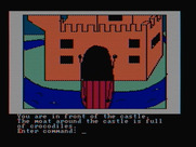 Hi-Res Adventure #2: The Wizard and the Princess for IBM PC/Compatibles - Don't fall into the moat!