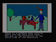 Hi-Res Adventure #2: The Wizard and the Princess for IBM PC/Compatibles - Need to buy anything?