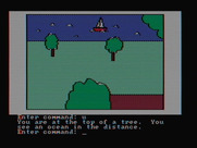 Hi-Res Adventure #2: The Wizard and the Princess for IBM PC/Compatibles - The view from a tree...
