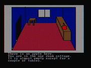 Hi-Res Adventure #2: The Wizard and the Princess for IBM PC/Compatibles - An apple...could be useful, better take it.
