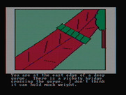Hi-Res Adventure #2: The Wizard and the Princess for IBM PC/Compatibles - Not sure I trust this bridge...
