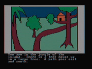 Hi-Res Adventure #2: The Wizard and the Princess for IBM PC/Compatibles - A tree house.