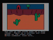 Hi-Res Adventure #2: The Wizard and the Princess for IBM PC/Compatibles - How do I cross this chasm?