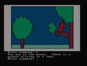 Hi-Res Adventure #2: The Wizard and the Princess for IBM PC/Compatibles - There is a parrot here.