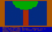 Hi-Res Adventure #2: The Wizard and the Princess for IBM PC/Compatibles - Climb this tree?