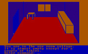 Hi-Res Adventure #2: The Wizard and the Princess for IBM PC/Compatibles - An empty room...