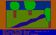 Hi-Res Adventure #2: The Wizard and the Princess for IBM PC/Compatibles - Looks like a good place to get some water.