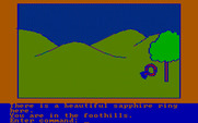Hi-Res Adventure #2: The Wizard and the Princess for IBM PC/Compatibles - A ring is here...better take it.