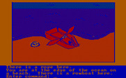 Hi-Res Adventure #2: The Wizard and the Princess for IBM PC/Compatibles - Ah, a boat! Very useful...