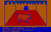 Hi-Res Adventure #2: The Wizard and the Princess for IBM PC/Compatibles - There is an angry boar here...