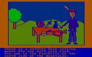 Hi-Res Adventure #2: The Wizard and the Princess for IBM PC/Compatibles - Need to buy anything?