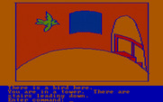 Hi-Res Adventure #2: The Wizard and the Princess for IBM PC/Compatibles - A bird flies by...