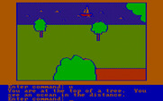 Hi-Res Adventure #2: The Wizard and the Princess for IBM PC/Compatibles - The view from the tree.