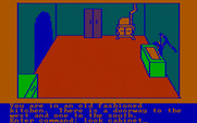 Hi-Res Adventure #2: The Wizard and the Princess for IBM PC/Compatibles - Which way from here?