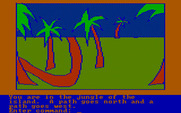 Hi-Res Adventure #2: The Wizard and the Princess for IBM PC/Compatibles - Which way to go?