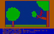 Hi-Res Adventure #2: The Wizard and the Princess for IBM PC/Compatibles - There is a parrot here.