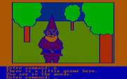 Hi-Res Adventure #2: The Wizard and the Princess for IBM PC/Compatibles - There is a gnome here...