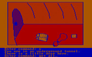 Hi-Res Adventure #2: The Wizard and the Princess for IBM PC/Compatibles - Looks like I found my stuff.