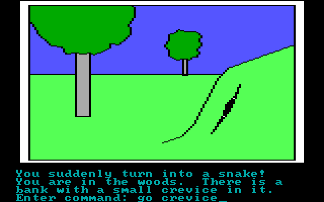 Hi-Res Adventure #2: The Wizard and the Princess IBM PC/Compatibles Screenshot: You magically turn into a snake!