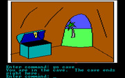 Hi-Res Adventure #2: The Wizard and the Princess for IBM PC/Compatibles - Anything useful in that treasure chest?