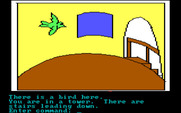 Hi-Res Adventure #2: The Wizard and the Princess for IBM PC/Compatibles - There is a bird flying by...