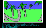 Hi-Res Adventure #2: The Wizard and the Princess for IBM PC/Compatibles - One of several jungle paths.